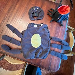 Pottery Barn Kids spider Halloween costume. Size 2T/3T
